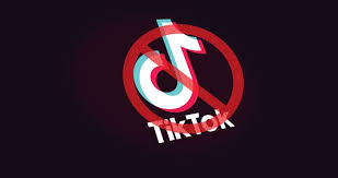 Is TikTok Harmful?