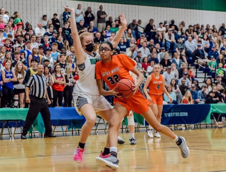 Briar Woods Girls Basketball Falls to Woodgrove in the State Semifinals