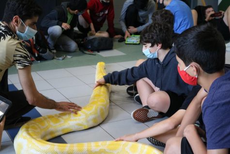 A Slithering Situation (btw — this is fake news)