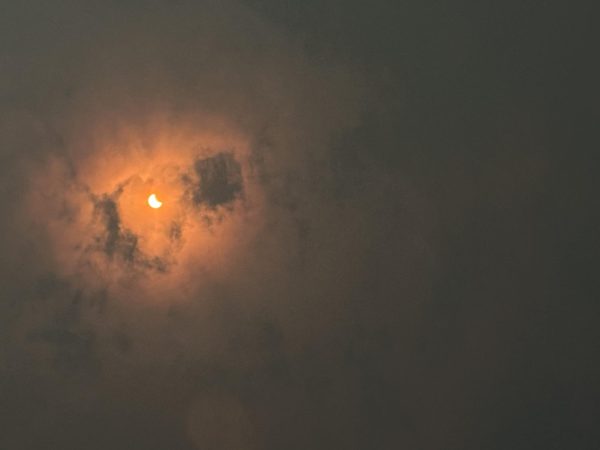 Solar Eclipse at Briar Woods