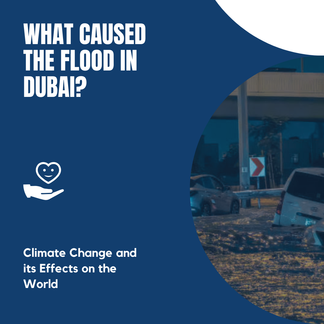 What Caused the Flood in Dubai?
