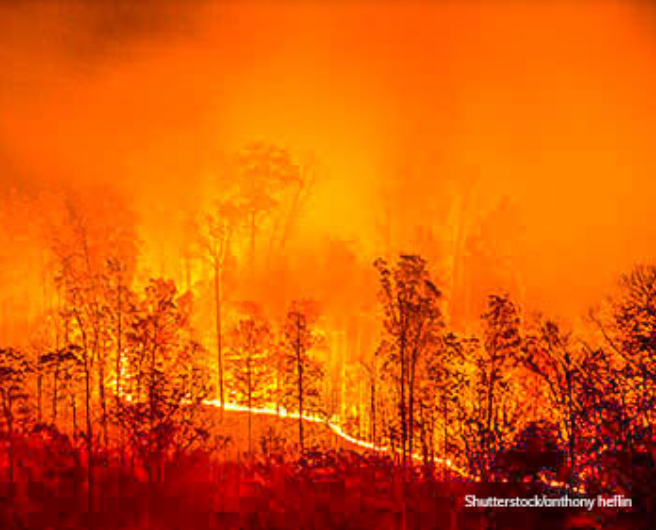 Battling Flames: California Wildfires