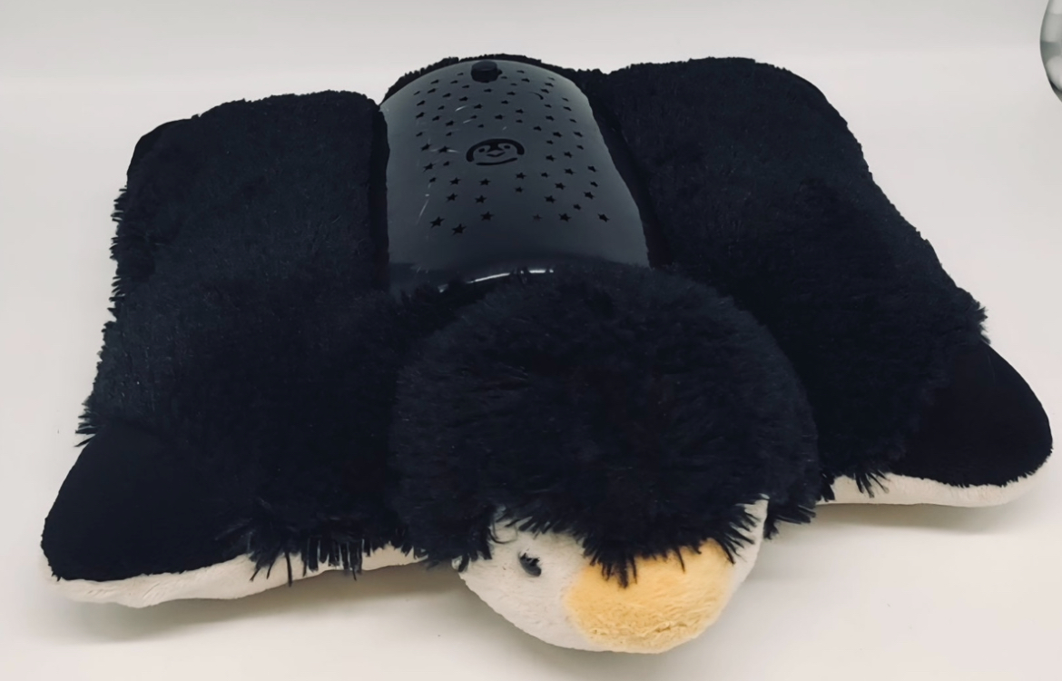 This was the toy that kept Joshua comfort during his time in the hospital.