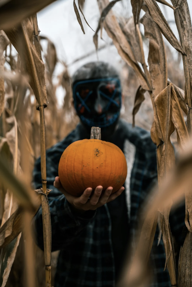 Spooky Psychology: A Fields of Fear Review