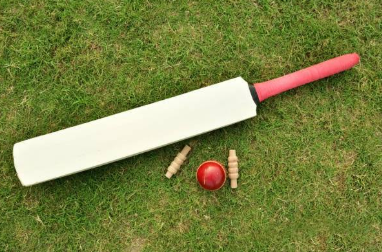 Cricket Bat & Ball