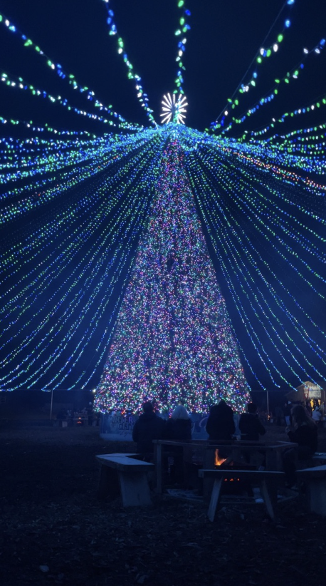DMV Holiday Activities 2025